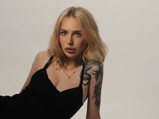 livecam picture LowerFrancis